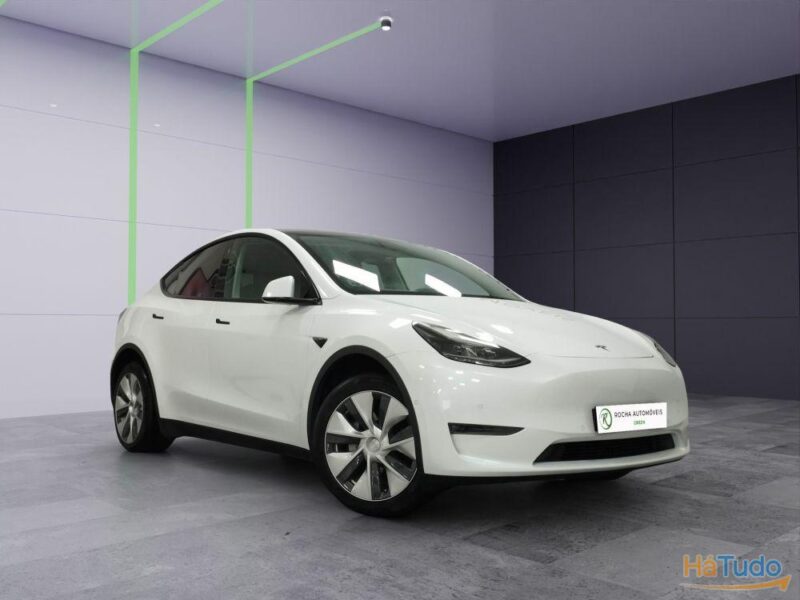 Tesla Model Y Max Range Dual 75 kWh