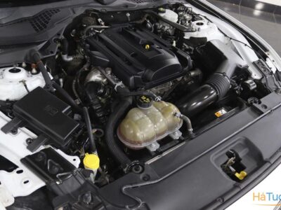 Ford Mustang 2.3i EcoBoost Convertible Basis