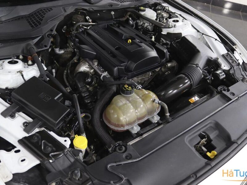 Ford Mustang 2.3i EcoBoost Convertible Basis