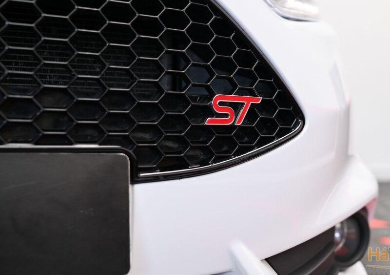 Ford Fiesta 1.6 EcoBoost c/ Pack Pele Desportiva ST