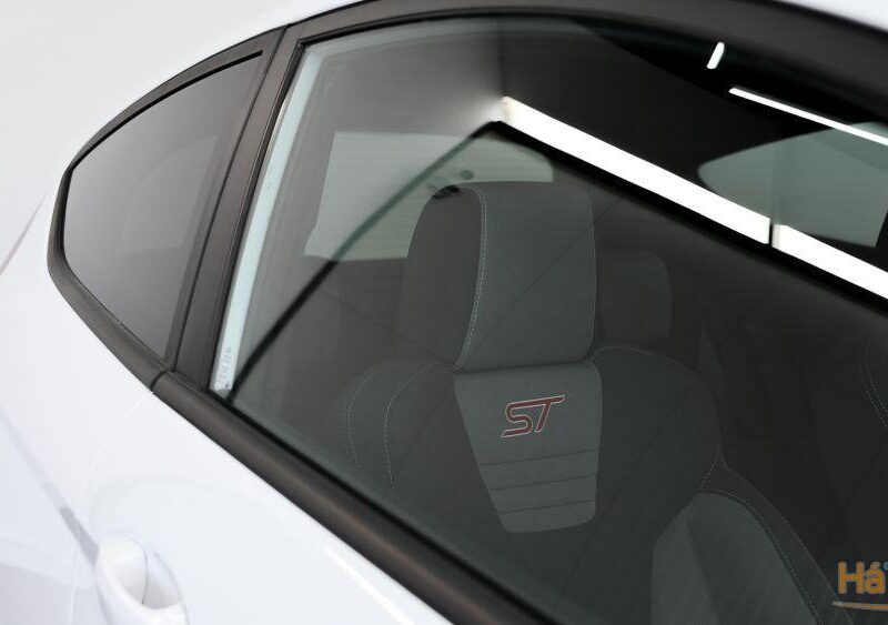 Ford Fiesta 1.6 EcoBoost c/ Pack Pele Desportiva ST