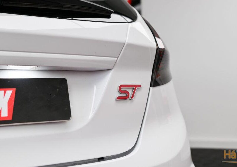 Ford Fiesta 1.6 EcoBoost c/ Pack Pele Desportiva ST