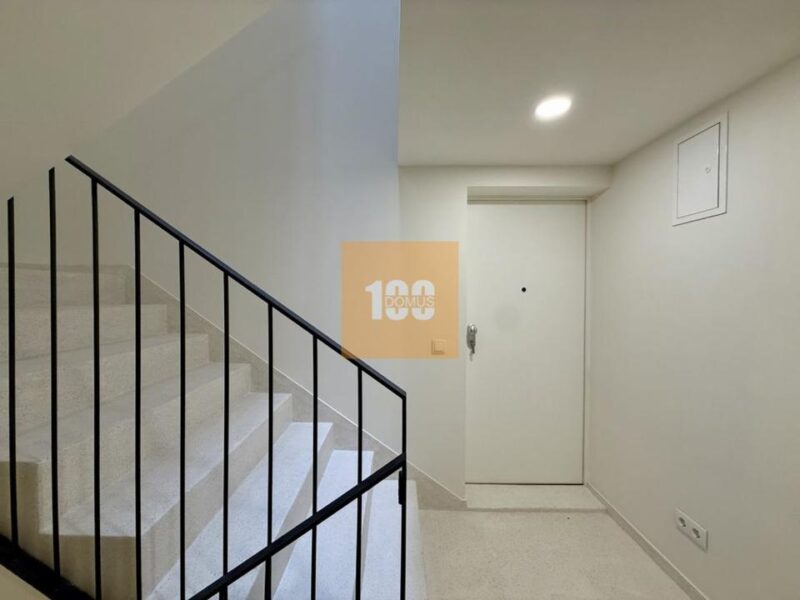 T1+1 novo em Cedofeita