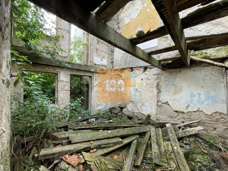 T3 novo jardim Anselmo Braamcamp