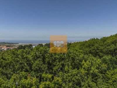 T4 novo com varandas - The Yard