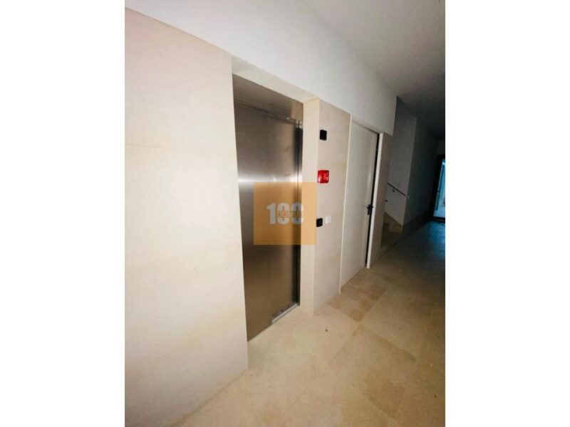 T1 novo - Mártires da Liberdade